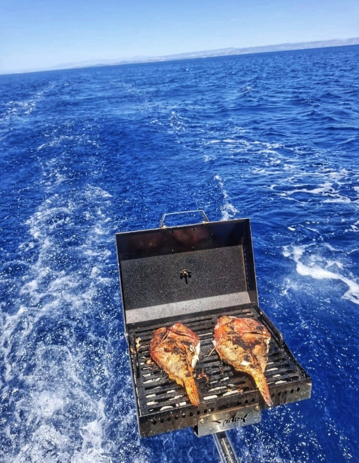 Fresh fish grilling while sailing across blue water
