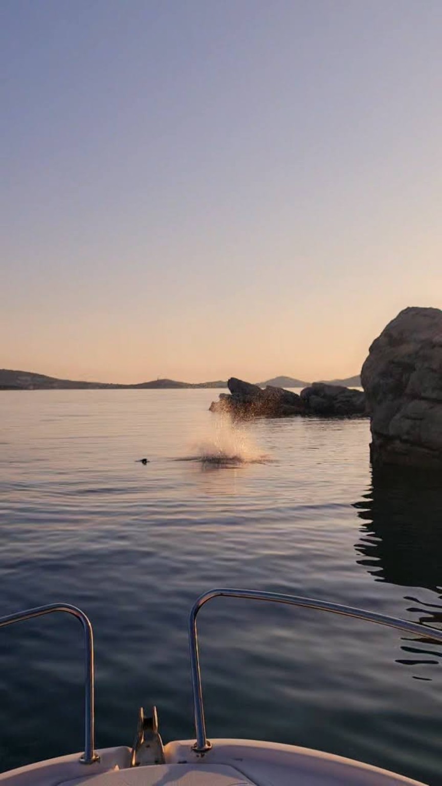 Evening swim in a calm Croatian bay